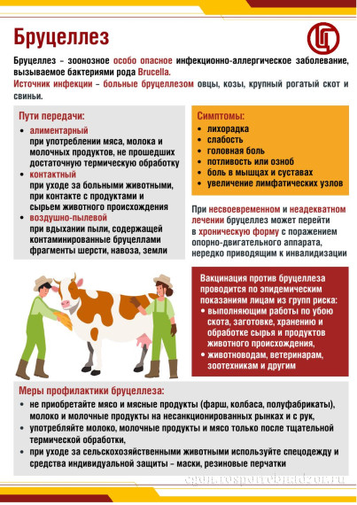 Памятка о профилактике бруцеллеза.
